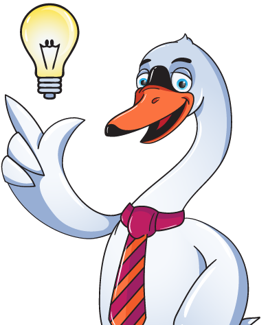 Schedule your free consultation with web Lakeland